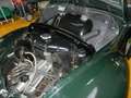 Fiat Topolino BELVEDERE Verde - thumbnail 17