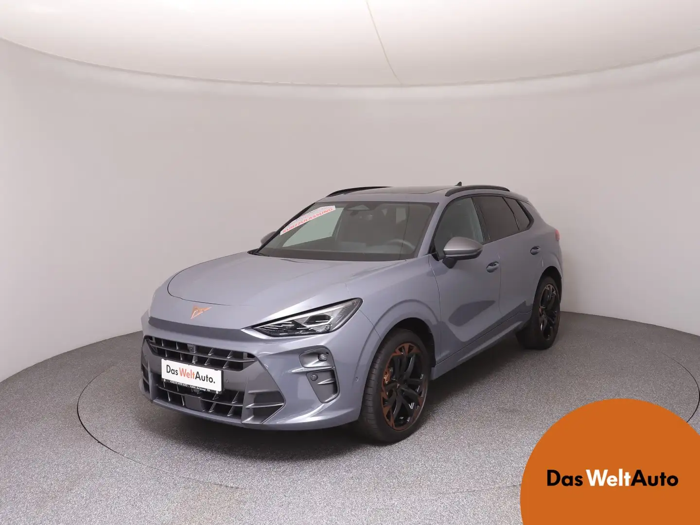 CUPRA Terramar VZ 2.0 TSI 265 PS DSG 4Drive Gris - 1