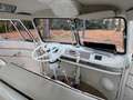 Volkswagen T1 SAMBA Bus / 23 Fenster Ausf. Beżowy - thumbnail 12