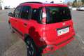 Fiat Panda 4x2 FireFly Hybrid 70 (Red) Rot - thumbnail 7