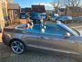 Audi A5 Cabriolet 3.0 TDI quattro Gris - thumbnail 6