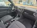 Volkswagen Beetle Cabriolet Design Schwarz - thumbnail 7