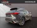 Lexus RX 450h F-SPORT*DESIGN*TOP*PANO*HUD*360*AWD* Grau - thumbnail 5