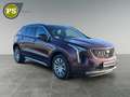 Cadillac XT4 350 T Luxury AWD 360 Kamera Leder Kamera Rot - thumbnail 7