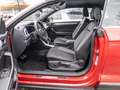 Volkswagen T-Roc Cabriolet 1.5TSi DSG Goal AHK R-Kamera NaviPro ... Rot - thumbnail 3