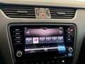 Skoda Octavia Combi 1,6 Style Limited TDI 4x4*AHK*Virtual*Spu... Gris - thumbnail 33