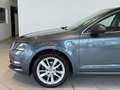 Skoda Octavia Combi 1,6 Style Limited TDI 4x4*AHK*Virtual*Spu... Gris - thumbnail 9