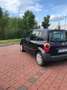 Renault Modus Authentique Violet - thumbnail 7