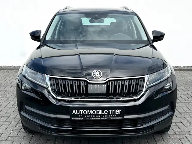 Skoda Kodiaq view 2