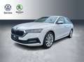 Skoda Octavia Octavia Combi 1.4 TSI iV DSG Sitz+Lenkradheizung Wit - thumbnail 1