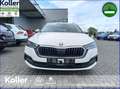 Skoda Octavia Octavia Combi 1.4 TSI iV DSG Sitz+Lenkradheizung Wit - thumbnail 3