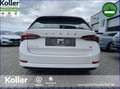 Skoda Octavia Octavia Combi 1.4 TSI iV DSG Sitz+Lenkradheizung Blanc - thumbnail 7