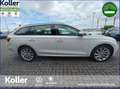 Skoda Octavia Octavia Combi 1.4 TSI iV DSG Sitz+Lenkradheizung Blanc - thumbnail 5