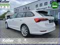 Skoda Octavia Octavia Combi 1.4 TSI iV DSG Sitz+Lenkradheizung Blanc - thumbnail 8