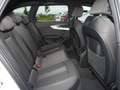Audi A4 Avant S line 35 TDI S tronic Navi Alu-18` AHK Weiß - thumbnail 5