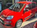 Fiat Panda 1.2 Easy s SOLO 40.000 KM! Rosso - thumbnail 3