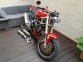 Ducati Monster 900 Rouge - thumbnail 1
