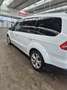 Ford Galaxy Business Plus 2,0 TDCi - thumbnail 4