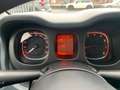 Fiat Panda Easy DAB-Alu-ReifenTüv/Oel/Zahnriemen neu-38Tkm Gris - thumbnail 13