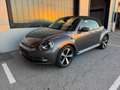 Volkswagen Beetle Cabrio Allstar 1,2TSI Navi + Freisprech, Xenon, PDCx2, 8x18 Twister-Alufelgen Grau - thumbnail 2