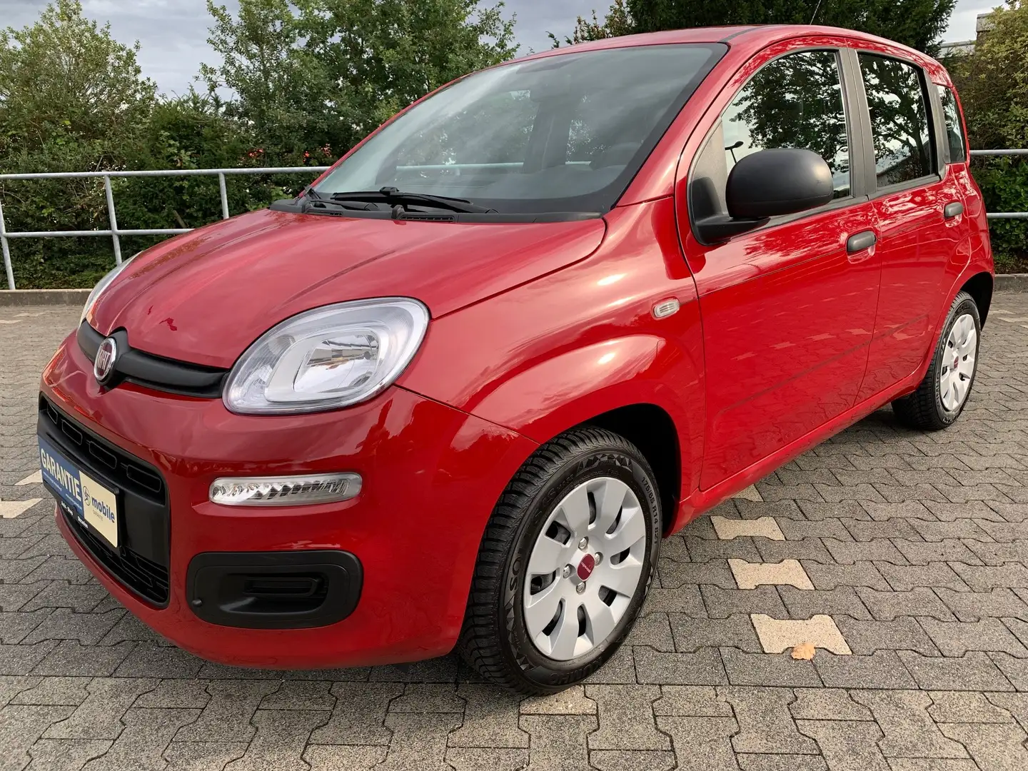Fiat Panda Panda/Pandina 1.2 Lounge Rot - 1