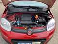 Fiat Panda Panda/Pandina 1.2 Lounge Rot - thumbnail 14