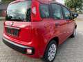 Fiat Panda Panda/Pandina 1.2 Lounge Rot - thumbnail 3