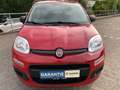 Fiat Panda Panda/Pandina 1.2 Lounge Rot - thumbnail 6