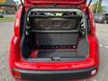 Fiat Panda Panda/Pandina 1.2 Lounge Rot - thumbnail 13
