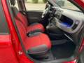 Fiat Panda Panda/Pandina 1.2 Lounge Rot - thumbnail 7