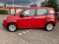 Fiat Panda Panda/Pandina 1.2 Lounge Rot - thumbnail 5
