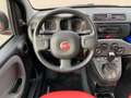 Fiat Panda Panda/Pandina 1.2 Lounge Rot - thumbnail 9