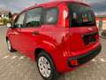 Fiat Panda Panda/Pandina 1.2 Lounge Rot - thumbnail 4