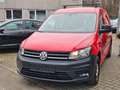 Volkswagen Caddy Nfz Maxi Kasten EcoProfi BMT Navi Klima Rot - thumbnail 1