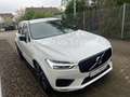 Volvo XC60 T8 AWD Geartronic Recharge R-DESIGN White - thumbnail 3