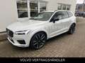 Volvo XC60 T8 AWD Geartronic Recharge R-DESIGN Weiß - thumbnail 1