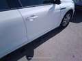 Renault Megane (O) Business Blue dCi 85 kW (115CV) - thumbnail 25