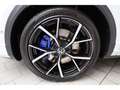 Volkswagen T-Roc 2.0 TSI 4Mot. R DSG AKRA/P-Dach/Matrix/RFK Weiß - thumbnail 19