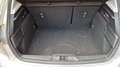 Ford Focus 1.5 EcoBlue 120ch Trend Business - thumbnail 12