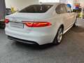 Jaguar XF 20d  R-Sport, Navi, Xenon bijela - thumbnail 6