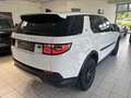 Land Rover Discovery Sport D165 4WD Aut. *PANORAMA/HEAD-UP/360 CAM* Weiß - thumbnail 14