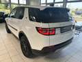Land Rover Discovery Sport D165 4WD Aut. *PANORAMA/HEAD-UP/360 CAM* Bianco - thumbnail 12