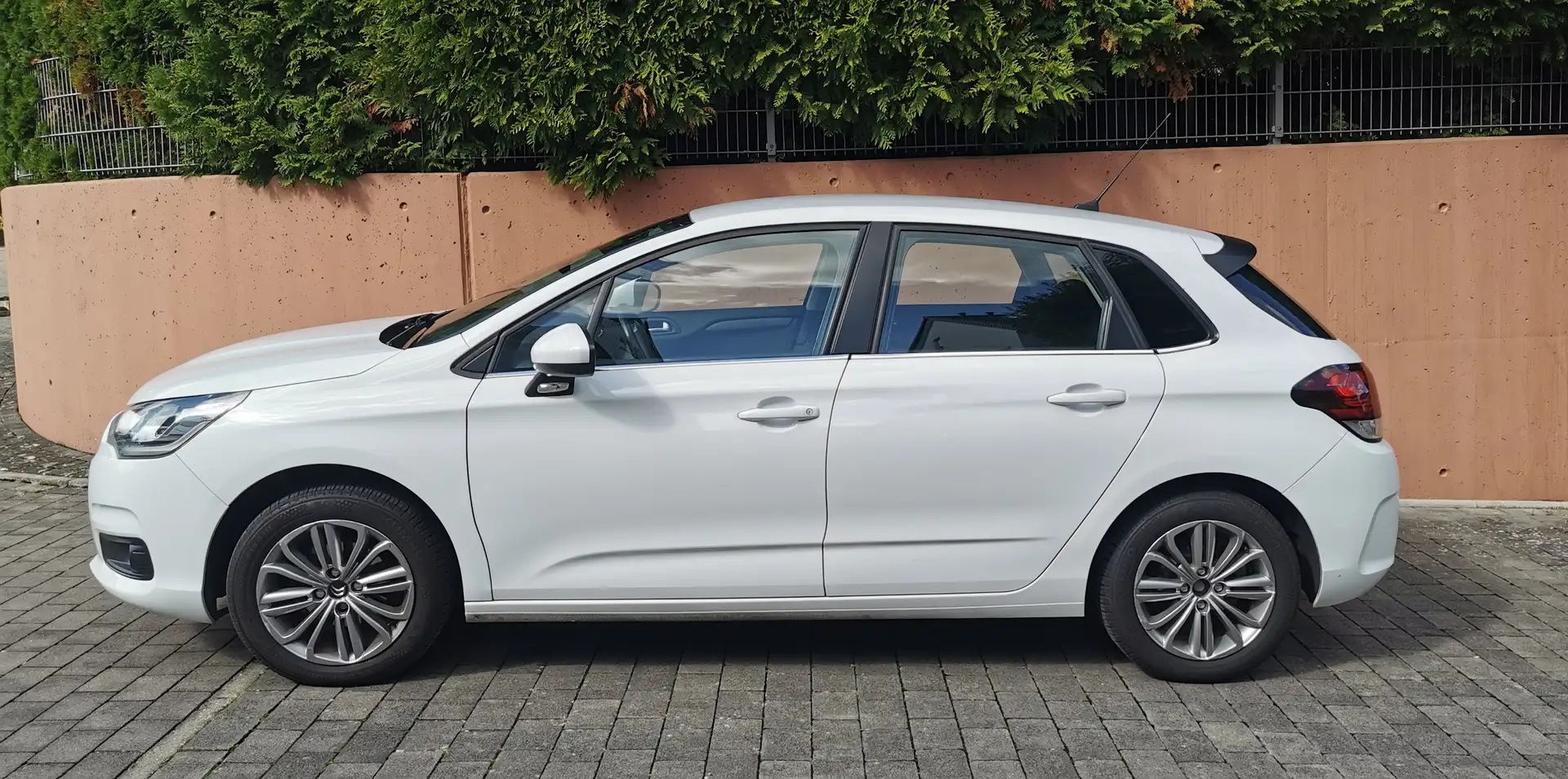 Citroen C4 C4 PureTech 110 Live Bílá - 1