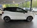 Ford EcoSport 1.0 EcoBoost ST-Line Wit - thumbnail 25
