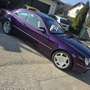 Mercedes-Benz CL 500 Aut. Violett - thumbnail 3