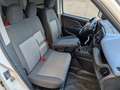 Fiat Doblo 1.6 MJT 105CV S&S  3 posti PC-TN Cargo Lounge Bianco - thumbnail 6