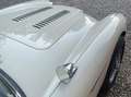 Austin-Healey 3000 MK III Weiß - thumbnail 3