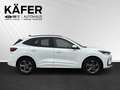 Ford Kuga 2,5 Duratec FHEV ST-Line X *ALLRAD* Automatik Weiß - thumbnail 5