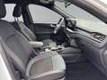 Ford Kuga 2,5 Duratec FHEV ST-Line X *ALLRAD* Automatik Weiß - thumbnail 10
