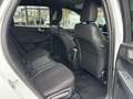 Ford Kuga 2,5 Duratec FHEV ST-Line X *ALLRAD* Automatik Weiß - thumbnail 14